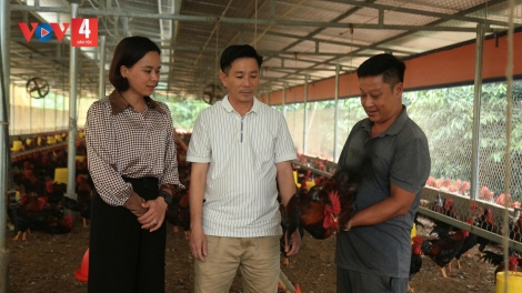 LIỆNG BẠI TUA CÚA TÒ TẺO LĂNG BÂN NẢN XÁU PỈNH LẢ