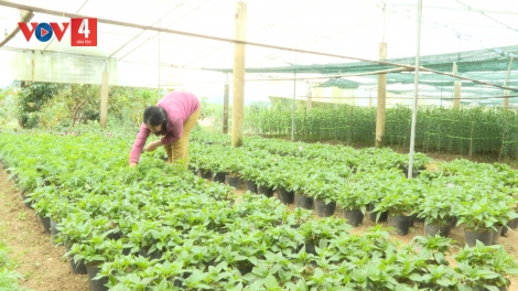 ĐHA NUÔR DA DING CA COONG A LƯỚI TRƠVÂNG RA VĂNG PÔ HA TẾT