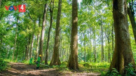 LÂH 102 ỨC ĐÔ LA MỸ ĐOỌNG ZƯ LÊY CRÂNG, PA LIÊM BH’RỢ BHRỢ CHA COH TÂY NGUYÊN LÂNG COH TOOR BIỂN NAM TRUNG BỘ