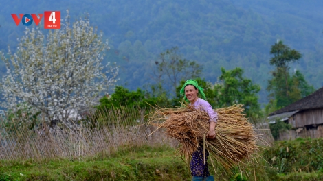 BH’RỢ XAY TRUIH DU LỊCH - K’ĐƠƠNG TA MOOI TƯƠC OOY ZR’LỤ DA DING K’COONG DAL