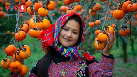 T'RUIH PA XƯL P'RA CƠ TU THỨ 7 T'NGAY 31/01/2026