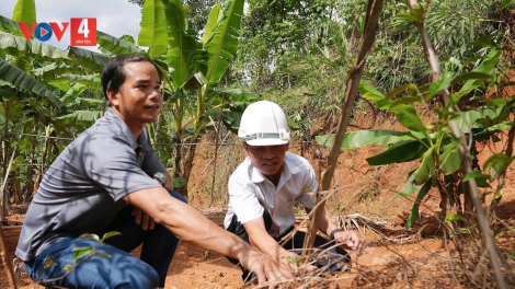 ĐẢNG VIÊN ĐHỊ DA DING CA COONG ĐÀ NẴNG BHRỢ XR’MIL ĐĂH PA DƯR PR’ẶT TR’MÔNG