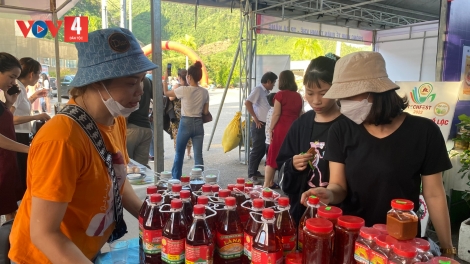 ĐÀ NẴNG BHRỢ BẤC PHIÊN CHỢ BÊL TẾT ĐHỊ CHR’VAL DA DING CA COONG