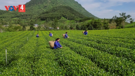 SLẢNH THÁI NGUYÊN HẾT KIN ĐÂY TỨ BẠI THÌNH CÚA SLÂƯ