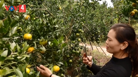 TỨ TỀNH RẨY THÂNG TỀNH TÀNG MẠNG