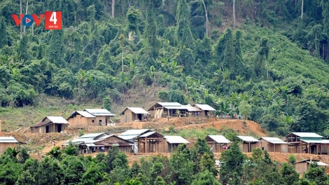 ĐÀ NẴNG ZOOI CHÍNH SÁCH K’TIÊC K’BUNH ĐOỌNG HA ĐHANUÔR ACOON COH