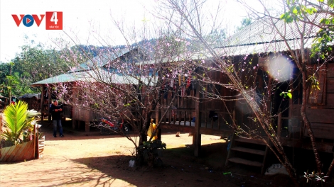 T'RUIH PA XƯL P'RA CƠ TU CHỦ NHẬT T'NGAY 01/3/2026