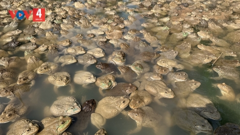 BĂN A ĐUH ZOOI ĐHANUÔR ĐHỊ CHR’VAL CỜ ĐỎ Z’LÂH ĐHA RỰT