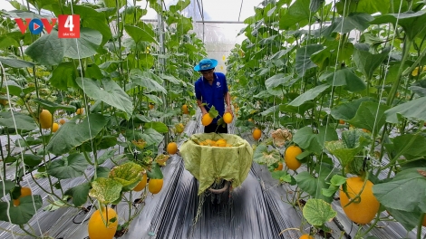 និទាឃរដូវសណ្ឋិតមកលើស្រុកភូមិប្តូរថ្មី