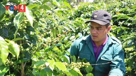 ZR’LỤ DA DING CA COONG QUẢNG NGÃI PA DƯR PR’ĐƠỢ “ZR’LỤ CHA KÊỆT” ĐOỌNG PA DƯR HA RÊÊ ĐHUÔCH, DU LỊCH