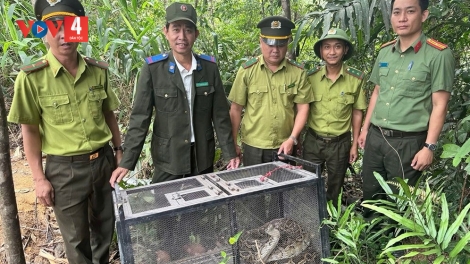 ĐÀ NẴNG: P’LOH BHI NGA ĐHỊ ZR’LỤ ĐHANUÔR ĂT CHÔ OOY CRÂNG K’COONG