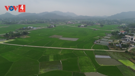 THÁI NGUYÊN CHƯỚNG MƯƠNG PHAI SLE MÌ ĐO NẶM CHANG MẢU XUÂN