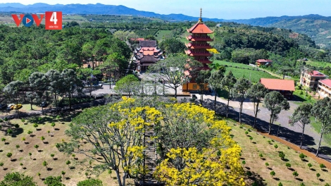 XAY MOON LÊY DA DING CA COONG DI LINH ĐHỊ ZR’LỤ PA DƯR LÂM ĐỒNG T’MÊÊ