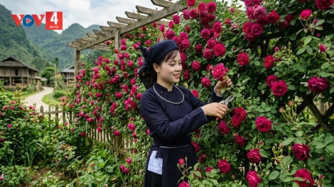 CHƯƠNG TRÌNH KHAY HENG TÀY - NÙNG  (Thứ Hai, Vằn 16/3/2026)