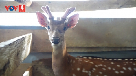 CHR’VAL TRÀ TẬP MOOT HÂN NOO BƠƠN BHRỢ T’GHÊY CHR’GƠƠNG