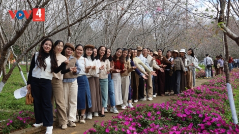 MĂNG ĐEN – KON PLÔNG MOOT HÂN NOO BHIÊC BHAN