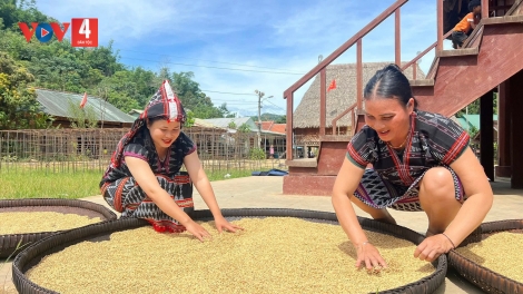 MOON LÂNG ZÂP NGAI