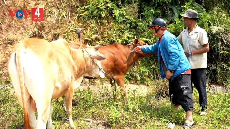 LÊY CHA MÊÊT ZÊL CHA GROONG PR’LUH CR’AY COH BH’NĂN BĂN