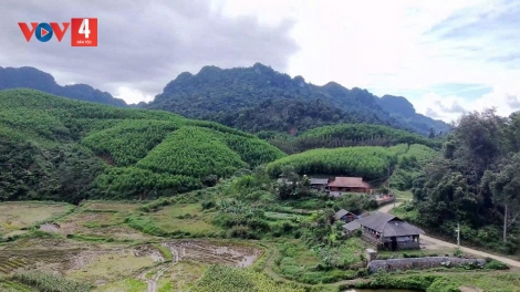 THÁI NGUYÊN PANG CHỎI PỈ NOỌNG DÚ BÚNG DÂN TỘC NỌI CẦN MÌ TỞI SLỔNG VẰN HẲM ĐÂY