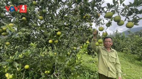ĐƯƠI DUA CÔNG NGHỆ SỐ K’RONG CÂL BH’NƠƠN CHR’NOH ĐHỊ ZR’LỤ DA DING CA COONG ĐÀ NẴNG