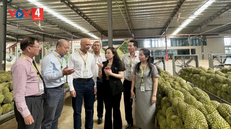 ĐẮK LẮK T’BHLẦNG K’RONG BHRỢ ĐĂH HA RÊÊ ĐHUÔCH PA TÊỆT LÂNG HA DƯR BƠR SỐ