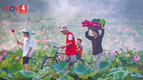 ĐÔI BỜ NƯƠNG DÂU (Bài chòi)