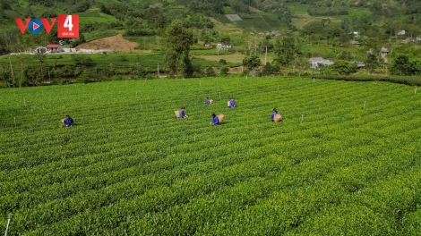 THÁI NGUYÊN HẾT PỀN BẠI THÌNH CÚA ĐĂM CHAY SLÂƯ ĐÂY SLE KHAI ĐẢY THÂNG LAI TỈ