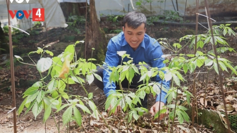 QUẢNG NGÃI HA DƯR VAIH NĂC ZR’LỤ CHOH TƠƠM ZA NƯƠU BẤC BHLẦNG ÂNG K’TIẾC K’RUUNG