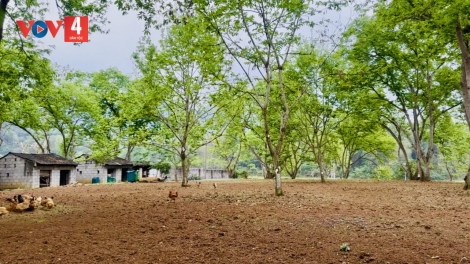 MÁC LỈCH TRÙNG KHÁNH: TỨ THÌNH CÚA ĐÂY KIN THÂNG THÌNH CÚA KHAI TẢY CHÈN