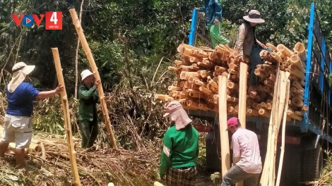 ĐHA ĐHÂM C’MOR ZR’LỤ DA DING CA COONG ĐÀ NẴNG PA ZƯM T’VAIH C’BHUH BHRỢ TÊNG