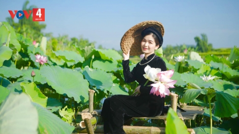 CẰM SLẮNG CÚA PỈ NOỌNG TỈNH ĐÀI (Chủ nhật, vằn 28/6/2026)