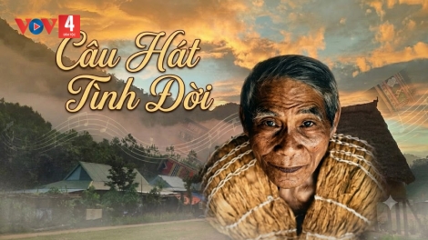 CÂU HÁT TÌNH ĐỜI