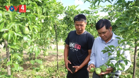 CHANH DÂY BHRỢ T’VAIH C’LÂNG BHRỢ CHA LIÊM CHOOM COH VÊÊL ĐÔNG QUẢNG NGÃI