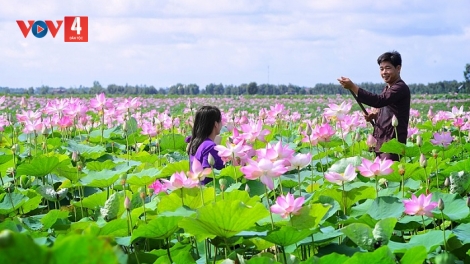 ĐỜN CA TÀI TỬ NAM BỘ