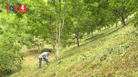 ĐHANUÔR PA DƯR CA VAN COH ZR’LỤ K’TIẾC K’ĐHAP ZR’NĂH 