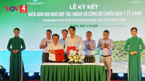 K’ĐƯƠI MOON BH’RỢ “1 TỶ T’VIÊNG” ĐHỊ CÙ LAO CHÀM - HỘI AN (ĐÀ NẴNG)