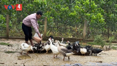 T’VAIH C’LÂNG Z’LÂH ĐHA RỰT TƠỢ RAU ZOOI ĐOỌNG ĐHỊ DA DING CA COONG