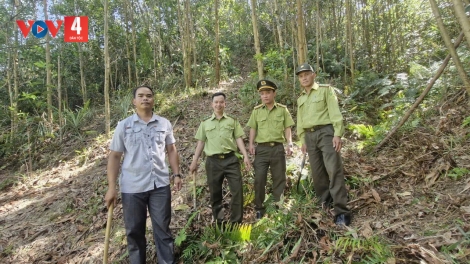 Siết chặt kỷ luật phòng cháy chữa cháy rừng trong cao điểm nắng nóng