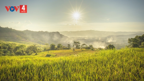 CHƯƠNG TRÌNH KHAY HENG TÀY - NÙNG  (Thứ Năm, vằn 25/06/2026)