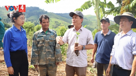 QUẢNG NGÃI: LÂH 1 ỨC TƠƠM CÀ PHÊ ZOOI C’LÂNG BHRỢ CHA ĐANH MÂNG ĐOỌNG HA ĐHANUÔR XƠ ĐĂNG