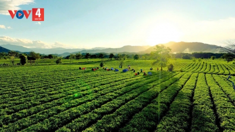 NGHỆ AN BHRỢ LIÊM GHIT NGHỊ QUYẾT ĐẠI HỘI LÂNG ĐỢ BHR’DZANG LƯƠT LIÊM CHOOM