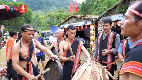 ĐHA HUM ÂNG QUẾ TRÀ LENG