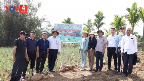 QUẢNG NGÃI TR’XĂL CR’NOỌ BH’RỢ BHRỢ TÊNG HA RÊÊ ĐHUÔCH