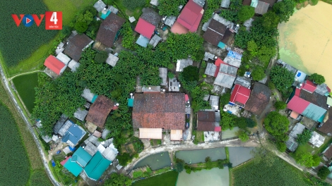 FẤN TIN VẰN XO 8 BƯƠN 8 PI 2026 