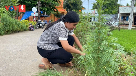 CHR’NĂP LIÊM ÂNG C’MOR CÁN BỘ KHMER ...