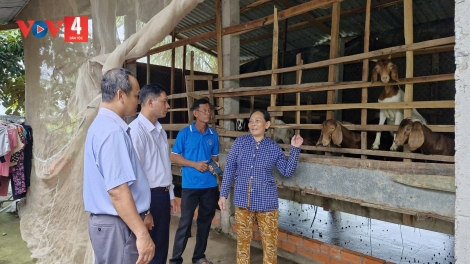 ZÊN VẶ T’ĐUI ĐOỌNG NĂC ZOOI ĐHANUÔR KHMER PA DƯR BH’RỢ BHRỢ CHA