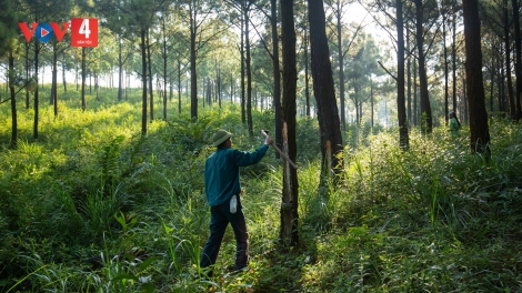 PRANG K’TIẾC K’RUUNG VÊY 625 R’BHẦU HÉC TA CRÂNG CHOH N’LOONG GA MĂC 