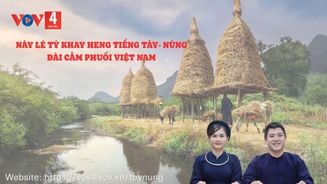 FẤN TIN VẰN 25 BƯƠN 8 PI 2026 