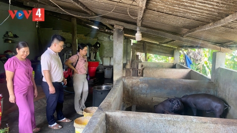 Tín dụng chính sách tiếp sức đồng bào miền núi phát triển 