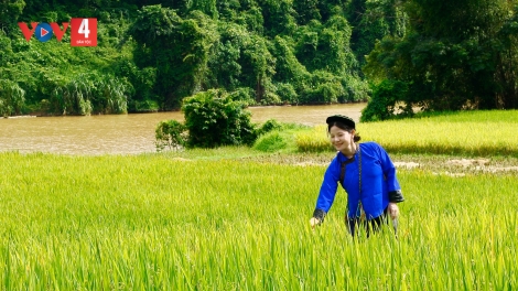 CHƯƠNG TRÌNH KHAY HENG TÀY - NÙNG (Thứ 3, vằn 25 bươn 8 pi 2026)